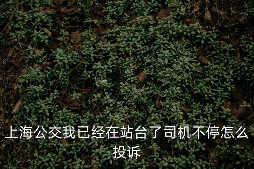 上海公交我已經在站臺了司機不停怎么投訴
