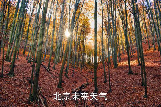 北京未來天氣