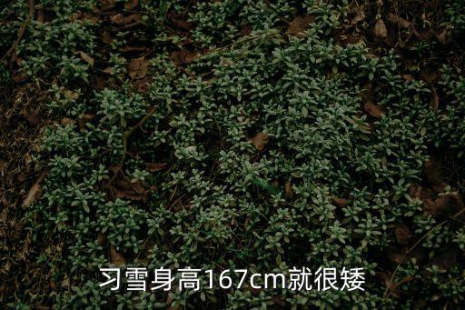 習雪，習雪張迪什么關系