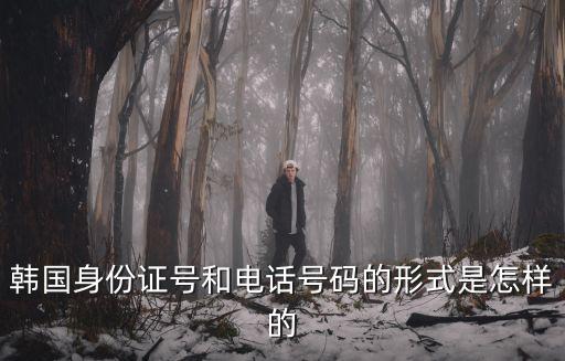 韓國身份證號，韓國的身份證號碼是幾位數
