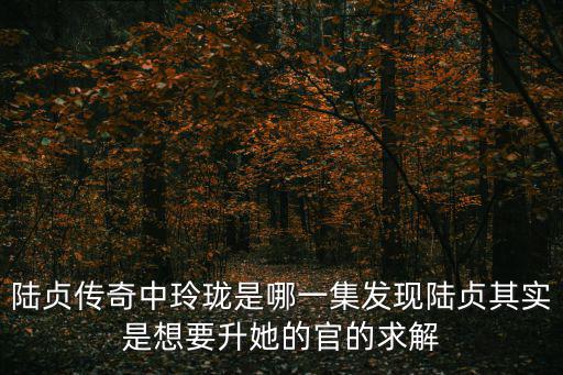 陸貞傳奇中玲瓏是哪一集發現陸貞其實是想要升她的官的求解