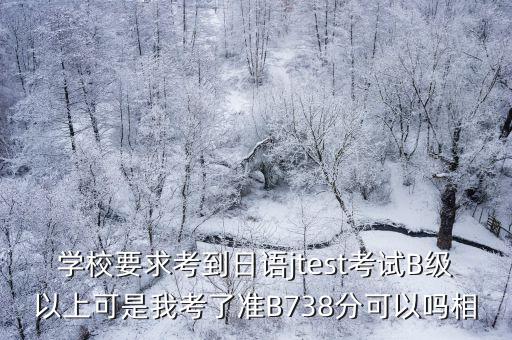 b738，飛機機種a333b777a330b738等等 其中的a和b字母代表什么意思 搜