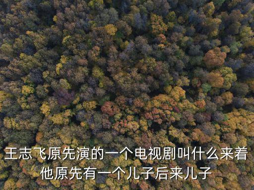 王志飛原先演的一個電視劇叫什么來著他原先有一個兒子后來兒子