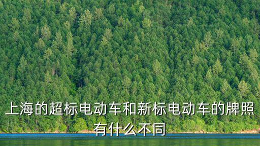 上海的超標電動車和新標電動車的牌照有什么不同
