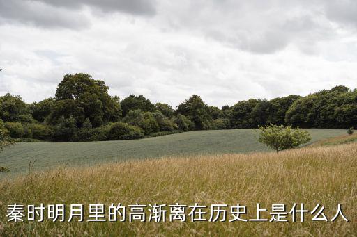 秦時明月里的高漸離在歷史上是什么人