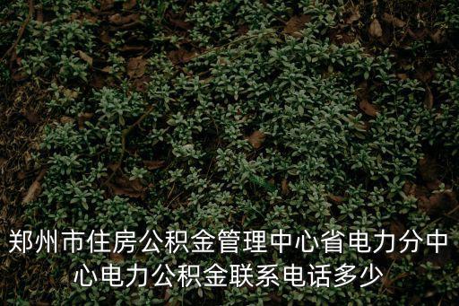 鄭州市住房公積金管理中心省電力分中心電力公積金聯系電話多少