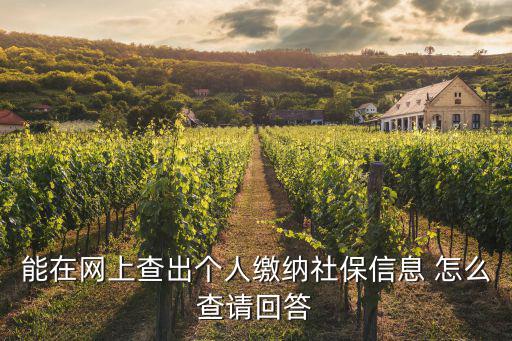 能在網(wǎng)上查出個(gè)人繳納社保信息 怎么查請回答