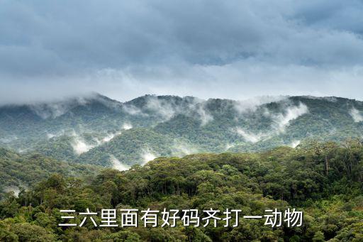 好碼齊，三九一七是好碼這是什么意思