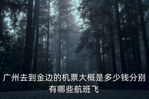 廣州去到金邊的機票大概是多少錢分別有哪些航班飛