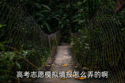 高考志愿模擬填報怎么弄的啊