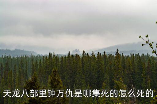 天龍八部里鐘萬仇是哪集死的怎么死的