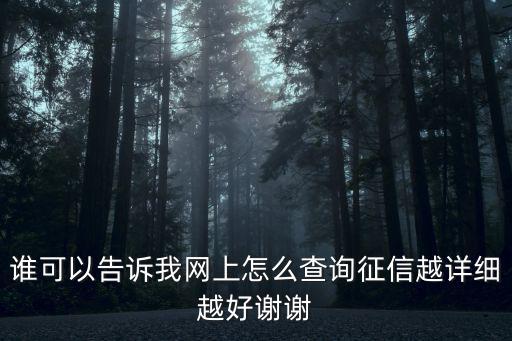 誰(shuí)可以告訴我網(wǎng)上怎么查詢(xún)征信越詳細(xì)越好謝謝