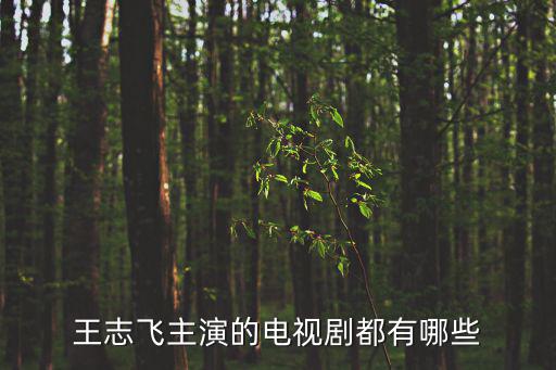王志飛主演的電視劇，王志飛原先演的一個電視劇叫什么來著他原先有一個兒子后來兒子