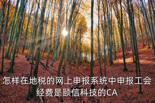 怎樣在地稅的網上申報系統中申報工會經費是頤信科技的CA