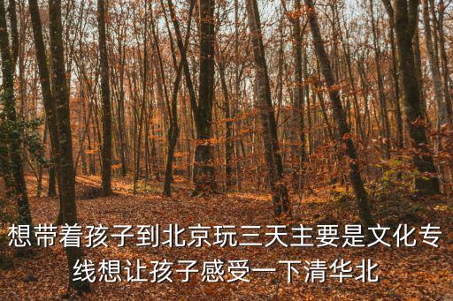 想帶著孩子到北京玩三天主要是文化專線想讓孩子感受一下清華北