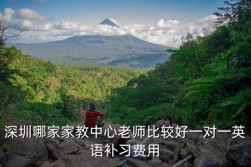 深圳哪家家教中心老師比較好一對一英語補習(xí)費用