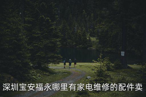 深圳寶安福永哪里有家電維修的配件賣