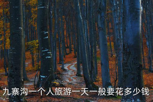 九寨溝一個人旅游一天一般要花多少錢