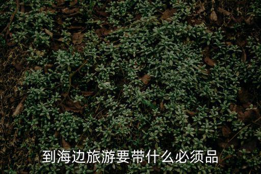 到海邊旅游要帶什么必須品