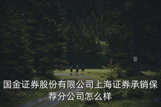 國金證券股份有限公司上海證券承銷保薦分公司怎么樣