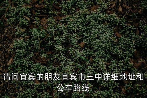 請問宜賓的朋友宜賓市三中詳細地址和公車路線