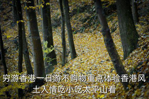 窮游香港一日游不購物重點體驗香港風土人情吃小吃太平山看