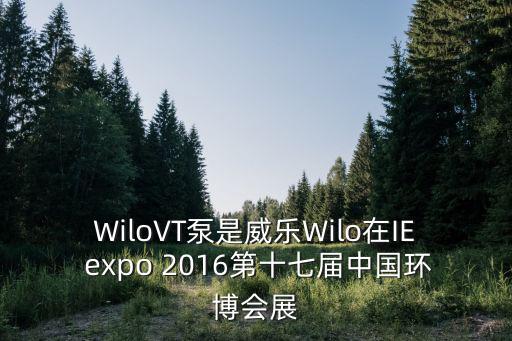 WiloVT泵是威樂Wilo在IE expo 2016第十七屆中國環博會展