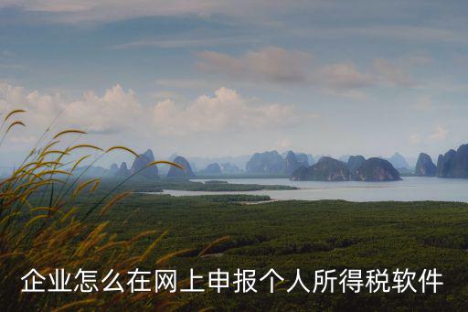 企業(yè)怎么在網(wǎng)上申報個人所得稅軟件