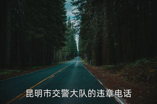 昆明市交警大隊的違章電話