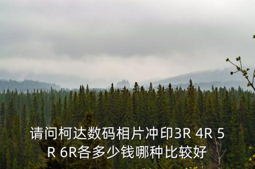 請問柯達數(shù)碼相片沖印3R 4R 5R 6R各多少錢哪種比較好