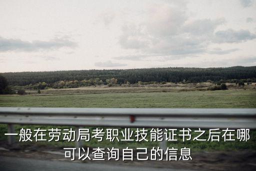 一般在勞動局考職業(yè)技能證書之后在哪可以查詢自己的信息