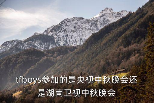 tfboys參加的是央視中秋晚會還是湖南衛視中秋晚會