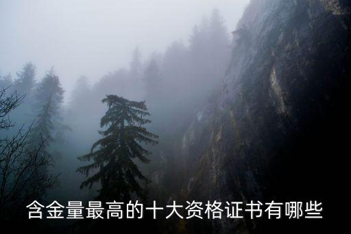 含金量最高的十大職業資格證書，現在哪個執業證書含金量最高
