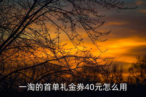 一淘的首單禮金券40元怎么用