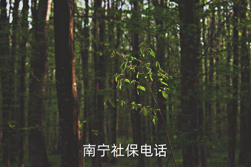 南寧社保電話