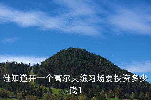 誰知道開一個高爾夫練習場要投資多少錢1