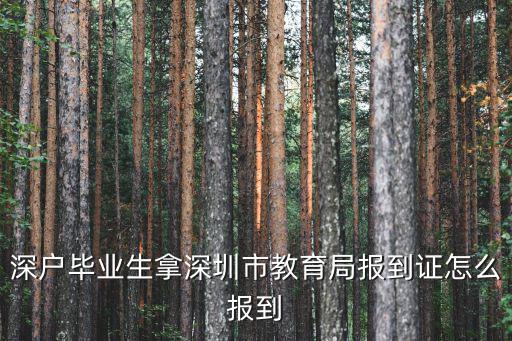 深戶畢業生拿深圳市教育局報到證怎么報到
