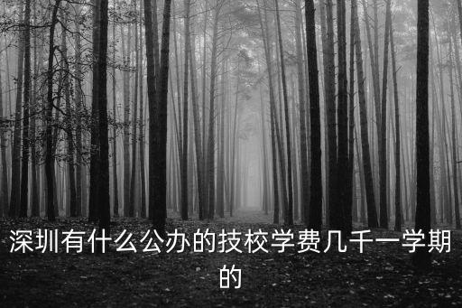 深圳技校，深圳有什么公辦的技校學(xué)費幾千一學(xué)期的