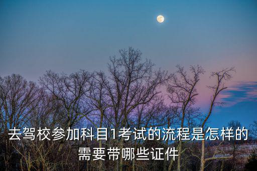 科目一流程，去駕校參加科目1考試的流程是怎樣的需要帶哪些證件