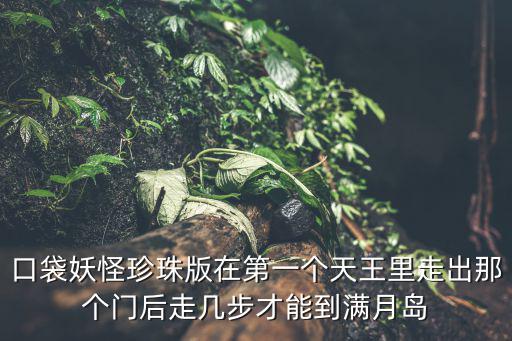 口袋妖怪珍珠版在第一個天王里走出那個門后走幾步才能到滿月島