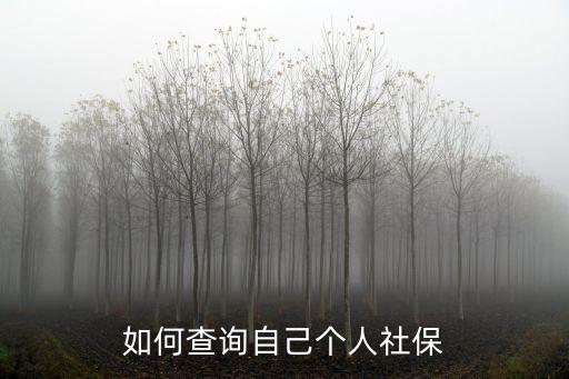 如何查詢自己個(gè)人社保
