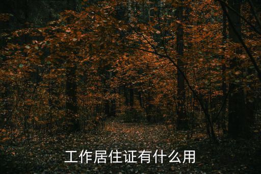居住證有什么用，工作居住證有什么用