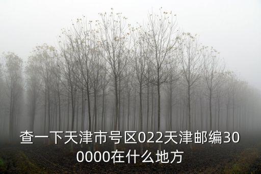 查一下天津市號區022天津郵編300000在什么地方