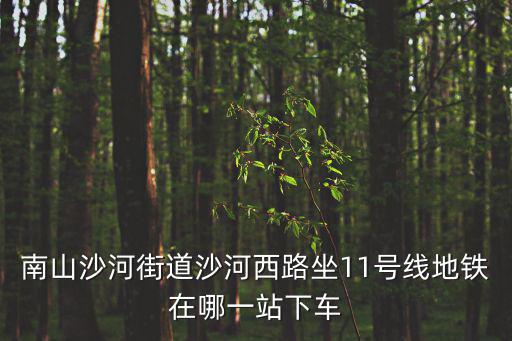 沙河西路，南山沙河街道沙河西路坐11號線地鐵在哪一站下車