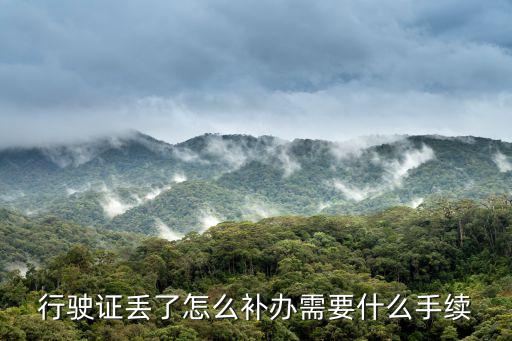 行駛證丟了怎么補辦需要什么手續