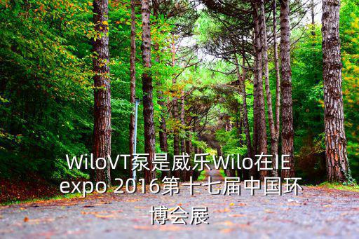 中國環(huán)博會，威樂Wilo參加IE expo 2016中國環(huán)博會的場地有多大