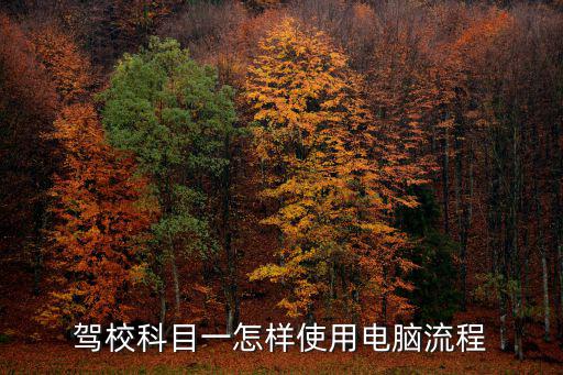 駕?？颇恳辉鯓邮褂秒娔X流程