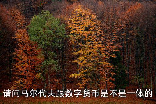 馬爾代夫貨幣，請問馬爾代夫跟數字貨幣是不是一體的