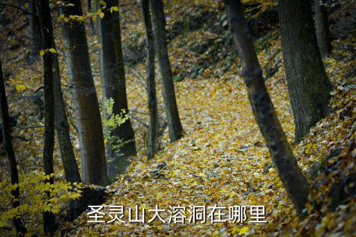 圣靈山大溶洞，圣靈山大溶洞是哪個公司開發的