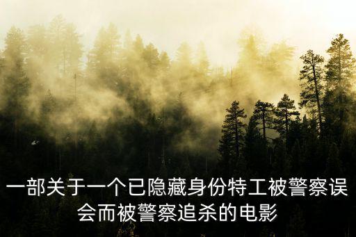 一部關于一個已隱藏身份特工被警察誤會而被警察追殺的電影